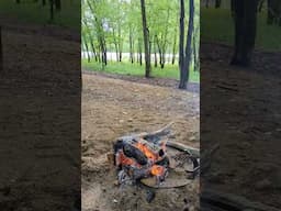 Glade Creek Campground, New River Gorge National Park