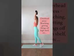 My favorite basic upper body dumbbell exercises 💪🏽 #armworkout #upperbodyworkouts #beginnerworkout