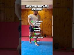 Why use the punch bag in Karate? #karate #martialarts #training