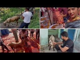 पहाड़ी शादी के दूसरे दिन 🐐 Bakra Kata Gaya Suren Ranga Vlog