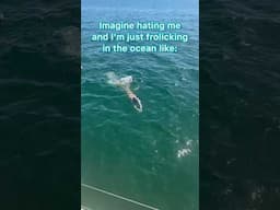 Imagine hating a mermaid! 🧜🏻‍♀️ #mermaid