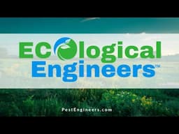 Rethinking Pest Control: How Ecological Engineers Are Protecting Health & Restoring Ecosystems