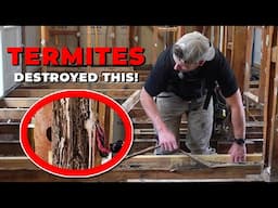 This Is What Termites Can Do to a House…