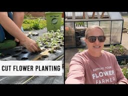 Planting My Cut Flower Garden - Sunshine and Flora