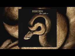 Mark Wilkinson - Reborn (Official Audio)
