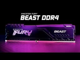 DDR4 Memory with speeds up to 3600MT/s – Kingston FURY Beast