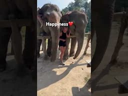 Happiness ❤️