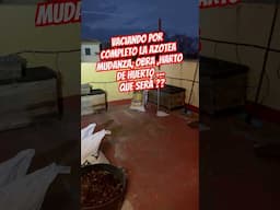 #obra#mudanza#cambio#familia#familianumerosa#casa#hogar#campo#naturaleza#vida#feliz