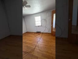There are trees growing inside this house…