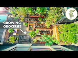 Tiny Space, Big Harvest – How to Grow Food in a Small Garden