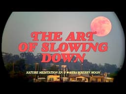 ✷ STRAWBERRY MOON MEDITATION 2025 ✷