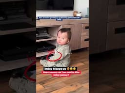 lil bub knows how to keep herself busy ‼️😆😅 #shorts