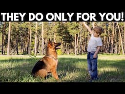 5 Things That German Shepherds Do ONLY For Their FAVORITE Humans