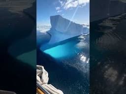Tough to beat Antarctica on a blue bird day #adventure #travel #nature #antarctica