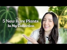 5 New Rare Plants in My Collection & Some Repots 🌿