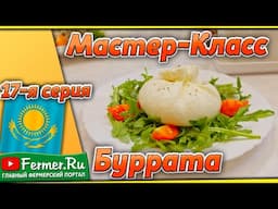 Моцарелла, Буррата, косичка Чечил. Вытяжной сыр (сыры группы паста филата). Сыры из коровьего молока