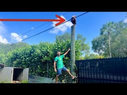 You Won't Believe What was WATCHING Our TORTOISES!!