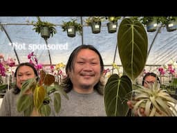 Run…Don’t Walk to This Nursery With the Best DEAL$