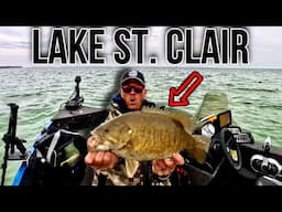 Lake St. Clair SPRING Smallmouth Bass Fishing || IT’S ON!!