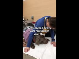 Vet Center Facility Care Volunteer