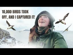 10,000 Birds Took Off at Once… and I Captured It on Hornøya