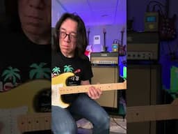 Kyoto Guitar Solo #guitar #kyoto #tomofujita #guitarsolo #guitarcover #guitarist #guitarplayer #jazz