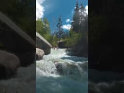 🏞️🌼🌿🌷🍃