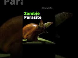 Zombie Parasite! #tamil #science #facts