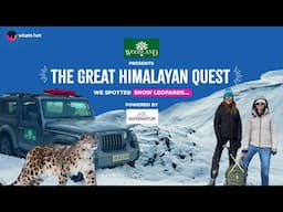 We Spotted Snow Leopards | Spiti Winter Expedition | @woodland