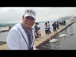 FUJIMOTO JAPAN: SWAN LAKE