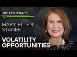 Star Bond Manager Mary Ellen Stanek on Opportunities in Market Volatility