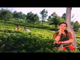Ae Hawa Yeh Bata Ae Ghata Yeh Bata 1080p FullHD Lata Mangeskar Tribute