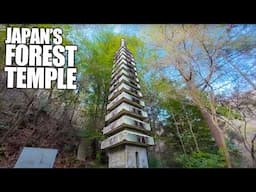 Exploring Japan's MYSTICAL Forest Temple
