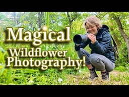 Wild Flower Wonderland – A Macro Photography Journey Through the Forest