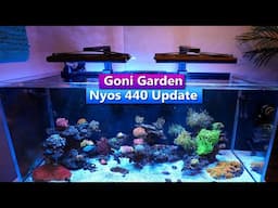 Goni Garden - Nyos 440 G2 Reef Tank Update