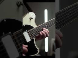 Making Dreamy Modulated Reverb Magic w/ Catalinbread Talisman Ghost #guitar
