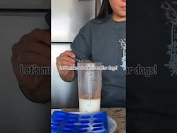Easy frozen treat for your dog: goat milk, egg, honey, cinnamon! #dogtreat #diydogtreats