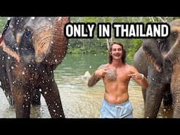 Krabi Thailand is CRAZY - Guns, Thai Food & Elephants