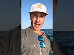 Portable Power On The Boat!