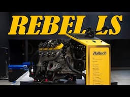 REBEL LS STAND - A One Week Build