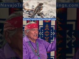 Humankind Chose Their Skin Color #americanindian #navajo #culture #race