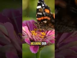 Native Plants Are KEY To Creating Ecological Landscapes