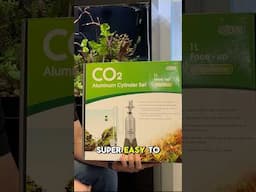 First Time with CO2? Here’s How to Start