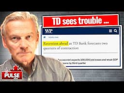 TD Bank's Top Economist Warns of Recession (I review her logic in this video.)