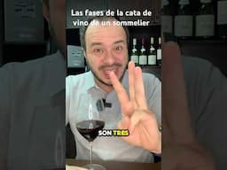 Las fases de la cata de un sommelier #bartender #winelover #wine #vino #bar #bartender