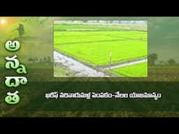 Kharif paddy nursery, main field management | ETV