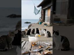 What Happens When a Duck Visits Cat Island? 🇯🇵 アヒルが猫島を訪れると何が起こるでしょうか?