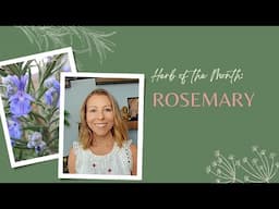 Herb of the Month: Rosemary | Ashley Elenbaas