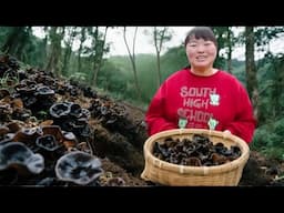 【陕北霞姐】霞姐做陕北“肉丝烩面节”，青菜木耳爆炒，筋道爽滑，太美了！