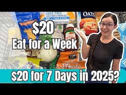 Eating for $3 a Day in 2025 | $20 for 7 Days for a Single Person | Emergency Grocery Budget